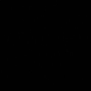 Meet your Posher, Darien